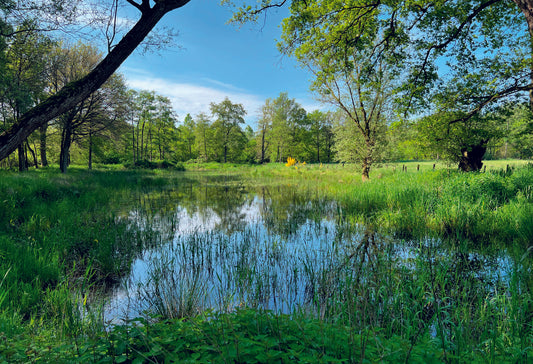 3.2.  L’agriculture régénérative, des pistes à consolider sur le long terme : la Ferme Het Loo-De Hoort et le réseau Agriland - V5.3